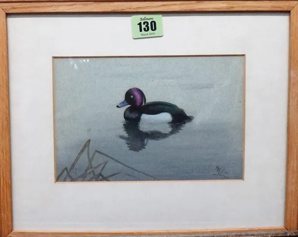 Philip Rickman (1891-1982), Tufted Duck, watercolour, signed with initials and dated '70, 12.5cm x 19cm. DDS