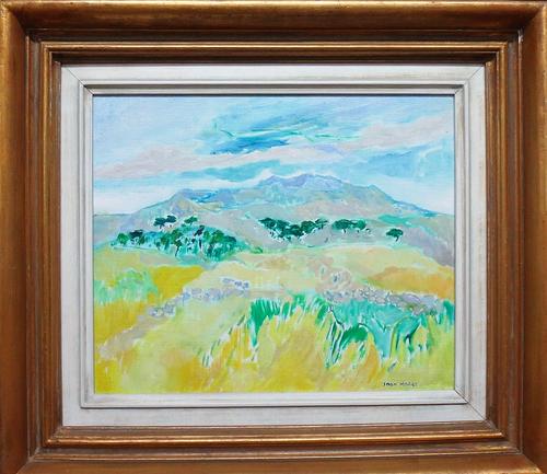 A carbon fibre nose cone from an F1 racing car, probably Jordan yellow livery with 'Benson & Hedges' advertising and indistinct signature possibly Mar