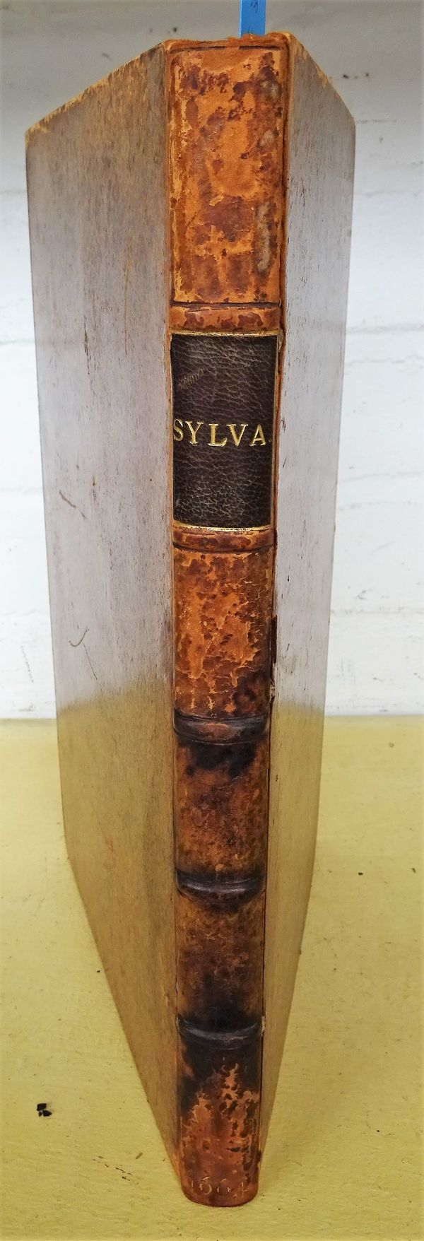 EVELYN (J.)  Sylva, or a Discourse of Forest-Trees, and the Propagation of Timber  . . .  by J.E. Esq;  . . .  to which is annexed Pomona or, an Appen