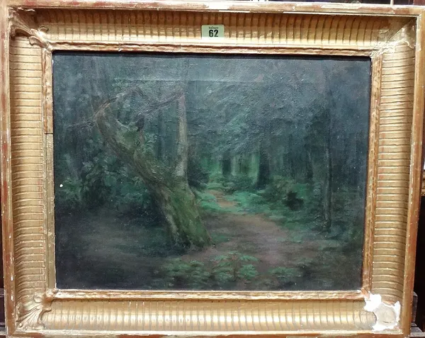 English School (20th century), A woodland path, oil on canvas, 33.5cm x 44.5cm.