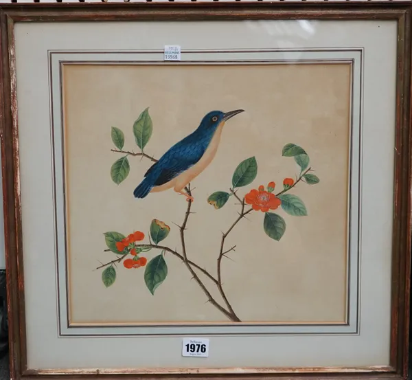 Two Chinese paintings, 19th/20th century, watercolour on paper, painted with birds in flowering branches, 30cm.by 32cm., mounted, framed and glazed, (