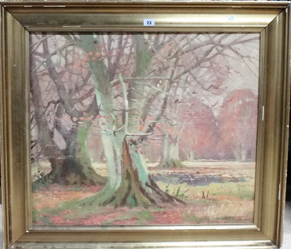 Continental School (20th century), Wooded scene, oil on canvas, indistinctly signed, 58cm x 68cm.