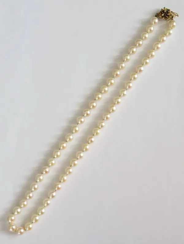 A single row necklace of uniform cultured pearls, on a gold and sapphire three stone clasp, in a stylized flowerhead shaped design, having a textured