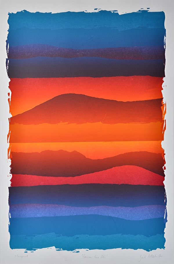 Gail Altschuler (b.1957), Urbino VIII; Gingham Two VI; Aerial View IX; Horizon Line IX; Untitled, a group of five colour screenprints, all signed and