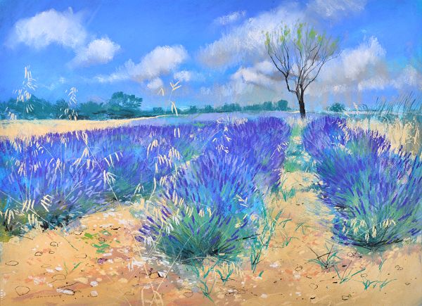 Neil Canning (b.1960), The Lavender Field, pastel, signed, 54cm x 74.5cm.  ARR