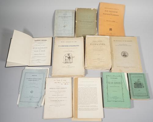 ELEPHANTS - Hugh FALCONER (1808-65).  On the American Fossil Elephant of the Regions Bordering the Gulf of Mexico ... with Observations on the Living