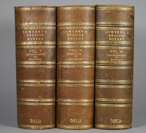 SOWERBY, John Edward (1825-70).  English Botany; or, Coloured Figures of British Plants. Third Edition. London: George Bell & Sons, 1887-92. 13 volume