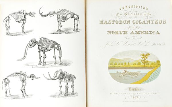 WARREN, John Collins (1778-1856).  Description of a Skeleton of the Mastodon Giganteus of North America [from additional title]. The Mastodon Giganteu