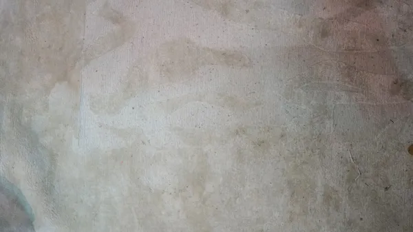 A part silk beige/cream carpet, 313cm x 365cm.