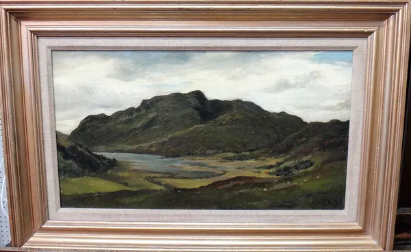 James Docharty (1829-1878), Highland landscape, oil on canvas laid on board, signed, 23.5cm x 43.5cm.
