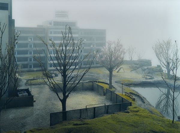 ANON:  (Contemporary)  FINE ART PRINT:  a colour photographic print of a grey winter's day view of a block of flats contrasting against a grassy play
