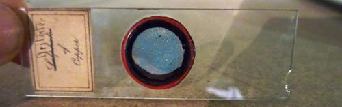 A quantity of Vintage microscope slides including; three boxed sets by 'Greenkat', 'Animals', 'sealife' and 'Micro-organisms' and approx. 70 loose sli