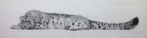 Gary Hodges (b.1954), Snow leopard, reproduction print, signed and numbered 537/850, 24cm x 92cm. DDS
