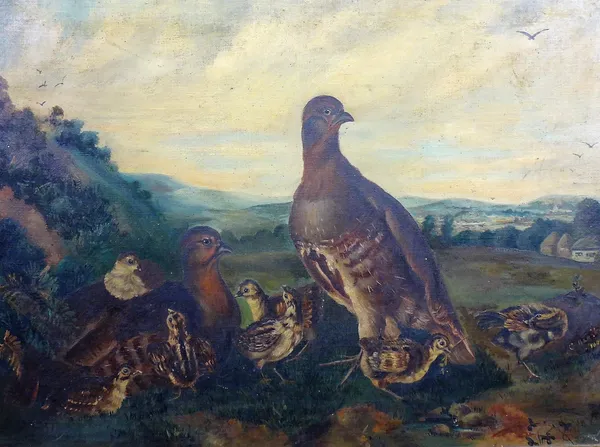 C. Henshaw (19th/20th century), A family of grouse, oil on canvas, signed and dated 1897, 40cm x 55cm.