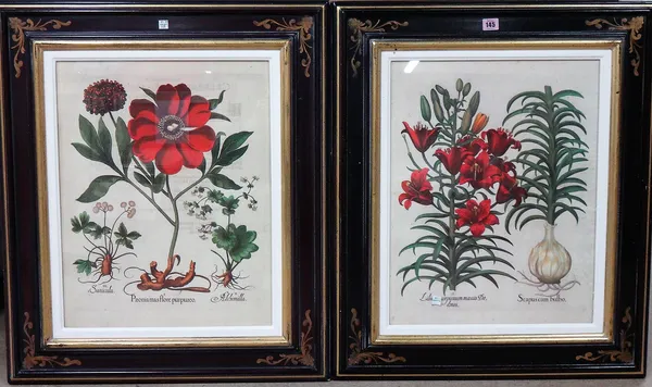 A set of four modern reproductions of 18th century botanical engravings, each 52.5cm x 41cm.; together with a further similar pair.(6)  F1