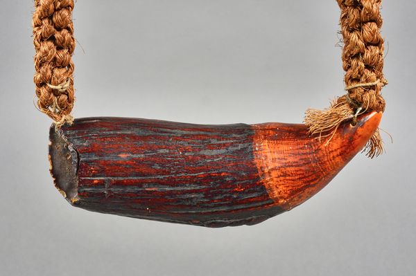 A Fijian Tabua whale tooth necklace, bound with coconut fibre, tooth 20cm. Illustrated