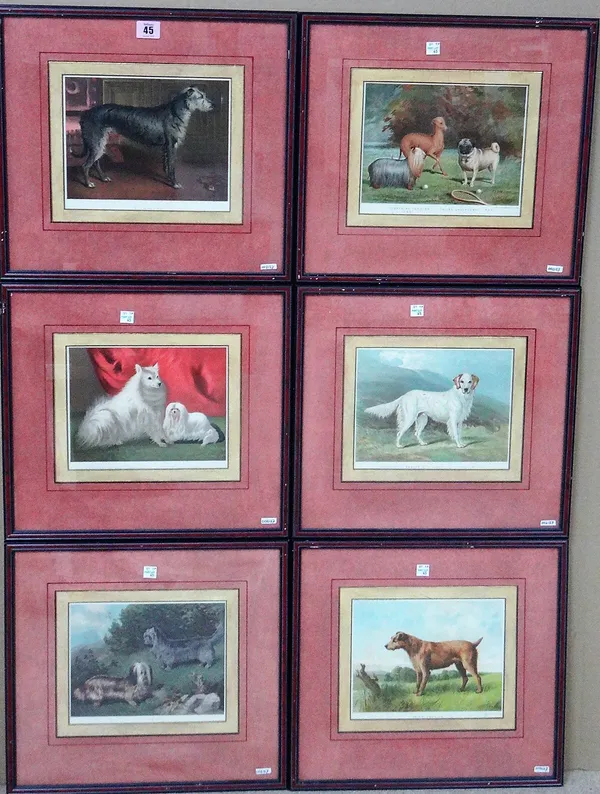 Vincent Brooks Day & Son (Publisher), A set of thirteen chromolithograph prints of dogs, each 18cm x 22cm.(13)  K1 441