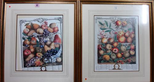 After Casteels, May, November, two reproduction prints, together with two humorous etchings by 'Tim' of wine and vegetable subjects, (2).  J1