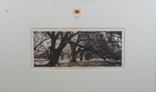 FINE ART PRINTS:  a group of three black and white photographs, the images various sizes, the largest being the seaside beach view, 16.5cm x 41.5cm wi