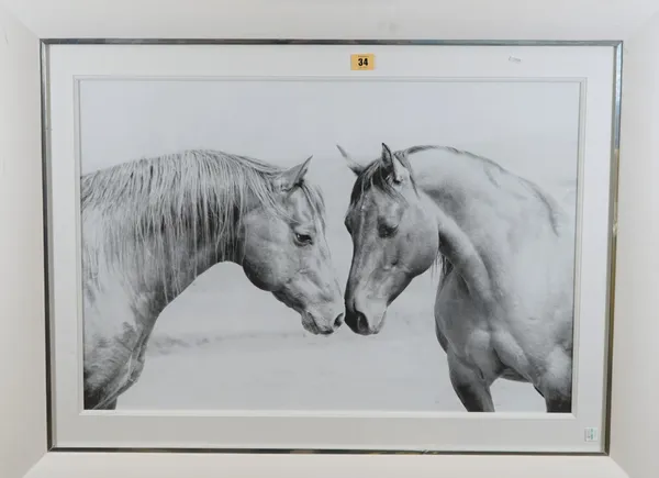 FINE ART PRINT:  Two horses nose to nose, a black and white print, 45.4cm x 68.5cm within mount, Quintessa Art Collection, 2008, label on verso, frame