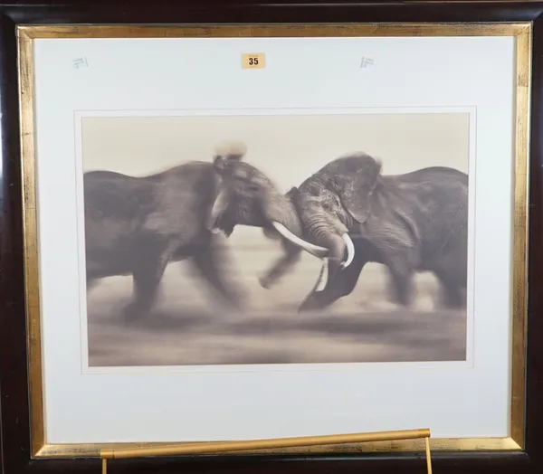 MARTYN COLBECK  (Contemporary)  a group of four sepia toned prints, 'Clash of the Bulls', Elephants silhouetted at dawn', 'Infra red Zebras', and 'Ele