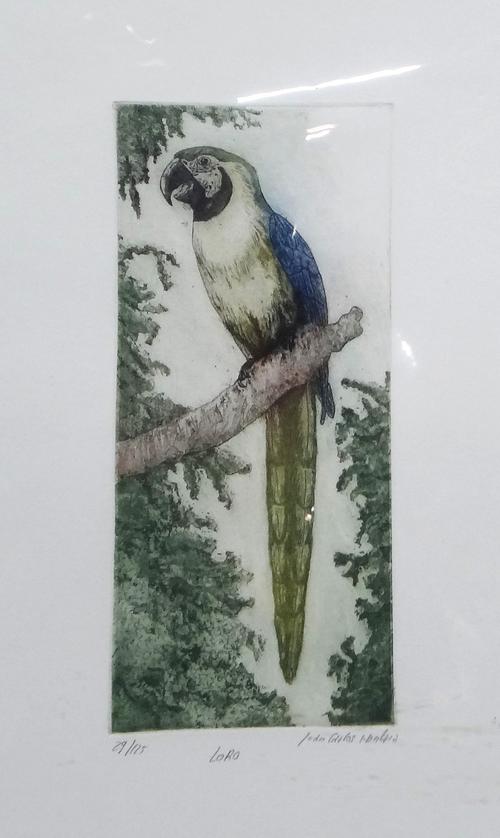 Ivan Carlos Montana (Spanish b.1949), Loko Roso; Loro, a pair of colour etchings, both signed, inscribed and numbered, each 24cm x 10.5cm.; together w