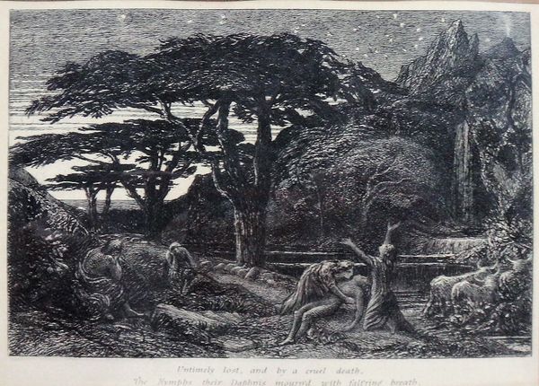 Samuel Palmer (1805-1881), The Cypress Grove, etching, 12cm x 15.5cm.