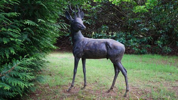 Gll Parker (b. 1957), Roe buck, bronze, 120cm high. DDS