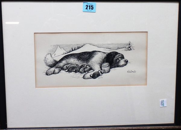 Norman Thelwell (1923-2004), A St Bernard and puppies, pen and ink, signed, 13cm x 27cm.