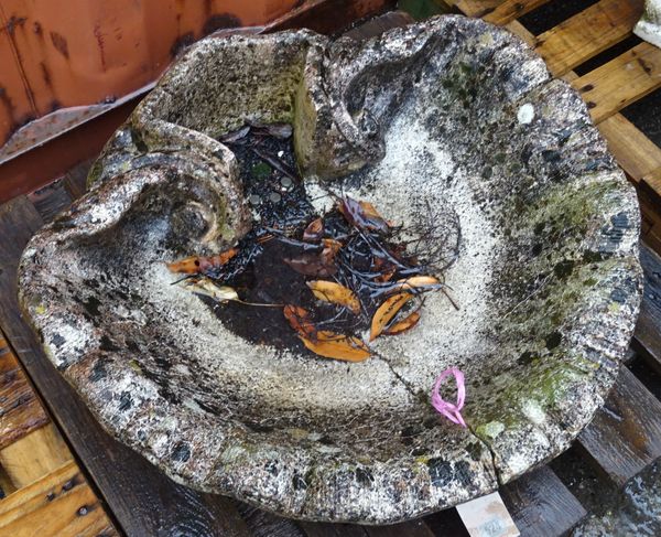 An early 20th century reconstituted stone bird bath in the form of a shell, 82cm wide x 20cm high.