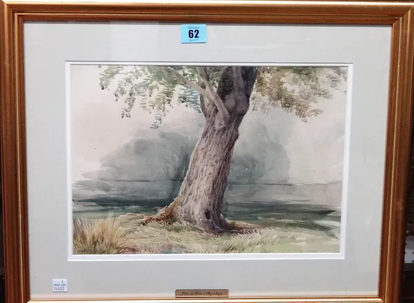 Follower of Peter de Wint, Study of a tree, watercolour, 24cm x 34cm.