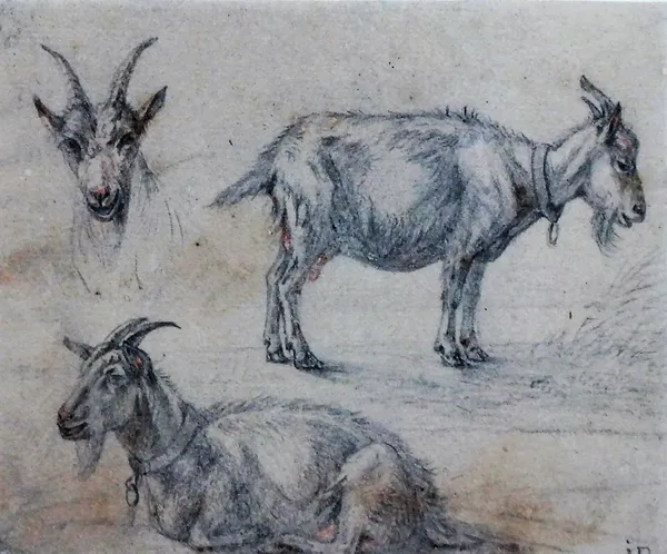 Attributed to Karel Dujardin (1622-1678), Studies of goats, pencil heightened with brown crayon, bears initials, 14.5cm x 18cm.; together with a furth