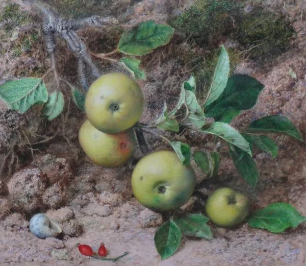 John Sherrin (1819-1896), Still life of an apple bough on a mossy bank, watercolour, signed, 30cm x 34.5cm.