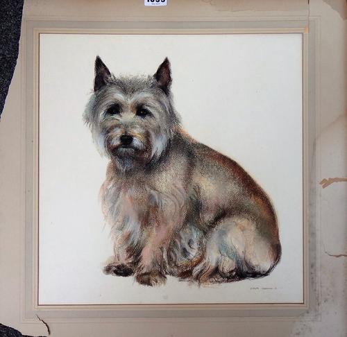 John Skeaping (1901-1980), Study of 'Mister', a Cairn terrier, pastel, signed and dated '61, unframed, 37cm x 36cm. DDS