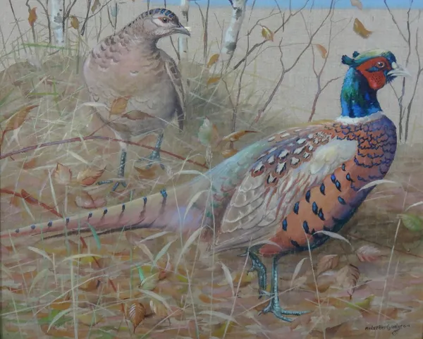 Ralston Gudgeon (1910-1984), Pheasants, gouache on linen, signed, 49cm x 60cm. DDS