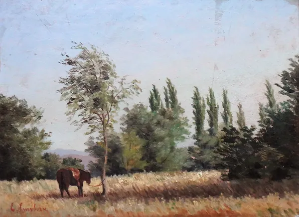 E. Swinburn (19th/20th century), A landscape with tethered pony, oil on panel, 25cm x 34cm.