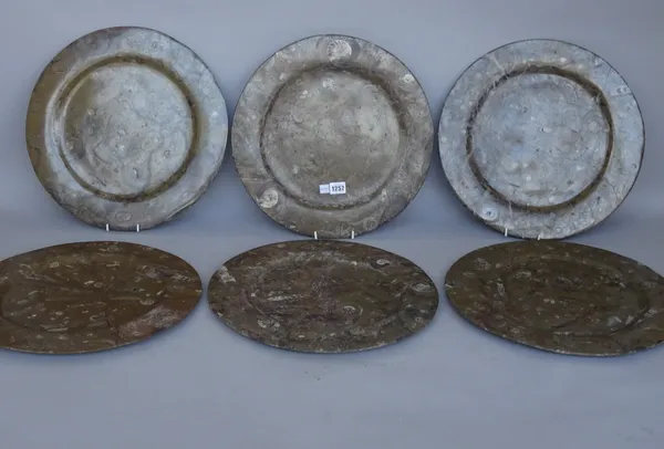 A set of six Limestone plates with fossil inclusions, Devonian period, 400,000,000 years. 40cm diameter.