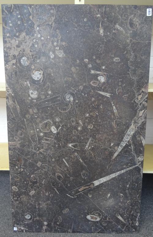 A limestone plinth or table top with fossil inclusions Devonian period, 400,000,000 years, 117cm x 70cm.