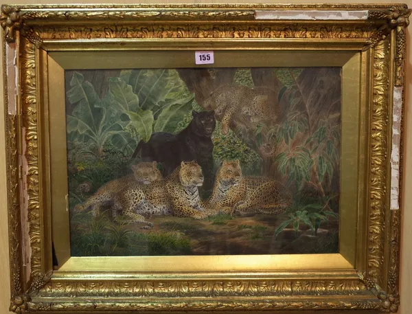 P.H. Staines (British 19th Century) Leopards at rest, watercolour heightened with gum-arabic, signed and indistinctly dated (twice), 32.5cm x 48cm. Pr