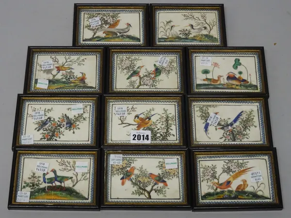 A group of eleven small Chinese paintings on rice paper, 19th century, each painted with two birds in branches or amongst flowering shrubs, image 6cm.