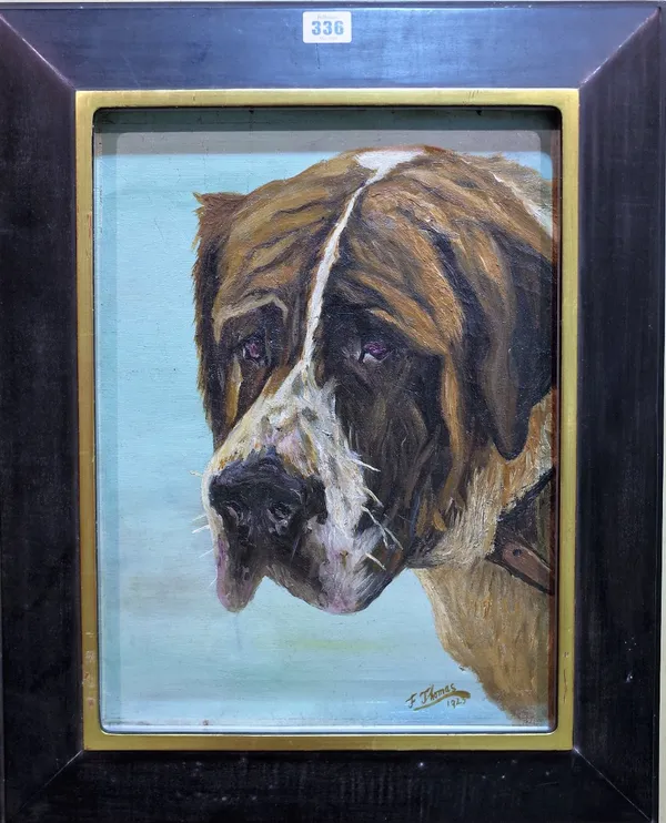 F** Thomas (20th century) Head study of a St Bernard dog, oil on canvas, signed and dated 1923, 40cm x 30cm. Provenance; property from the late Sir Da