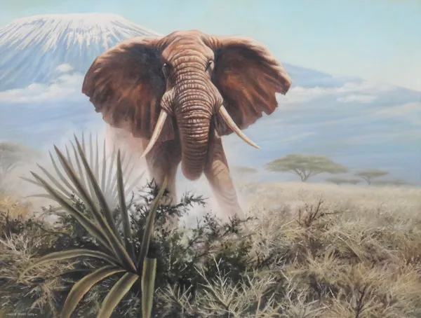 David Parry (b.1942), Elephant, oil on canvas, signed and dated 1973, 73.5cm x 99cm. ARR