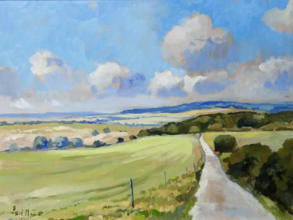 Paul Massey (contemporary), South Downs, 2013, oil on canvas, signed and dated 43cm x 58cm. ARR