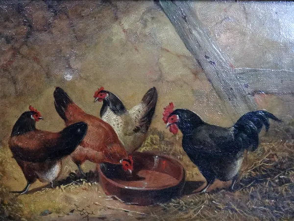 Joseph Benwell Clark (b.1857), Chickens, oil on canvas, 14cm x 19cm.