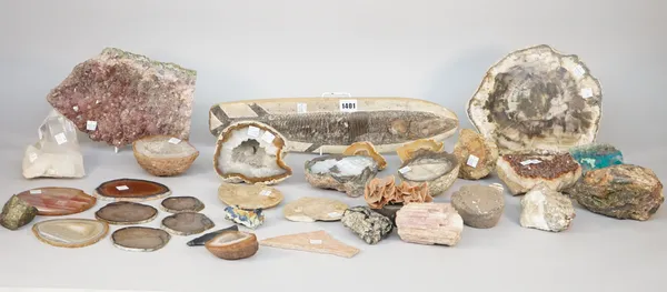 A quantity of geological specimens, including; a fossilized fish, 45cm, quartz, petrified wood, agate slices and sundry, (qty).