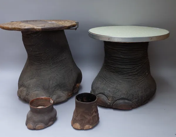 Taxidermy; three elephant feet, early 20th century, each mounted as a low seat, 44cm high and two baby elephant feet, unmounted, 12.5cm high, (5).