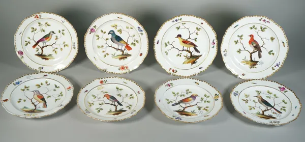 Eight Meissen outside decorated porcelain plates, late 19th century, each painted with a bird in branches inside a border scatttered with flowers and