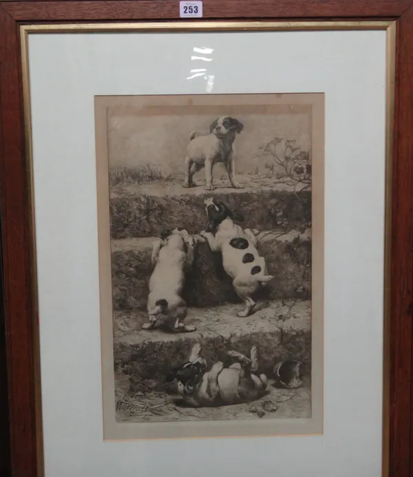 A group of assorted prints and engravings, including Puppies after William Strutt, Dog and cat by Arthur Baillie, three etchings after Rembrandt and t