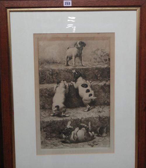 A group of assorted prints and engravings, including Puppies after William Strutt, Dog and cat by Arthur Baillie, three etchings after Rembrandt and t