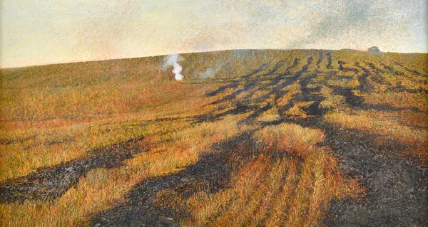 David Tindle (b.1932), Field bonfire, oil on board, signed and dated '75, 26cm x 49cm. ARR